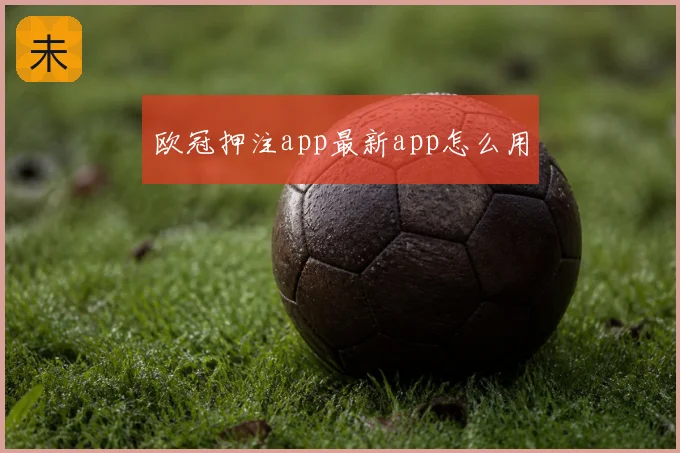 欧冠押注app最新app怎么用